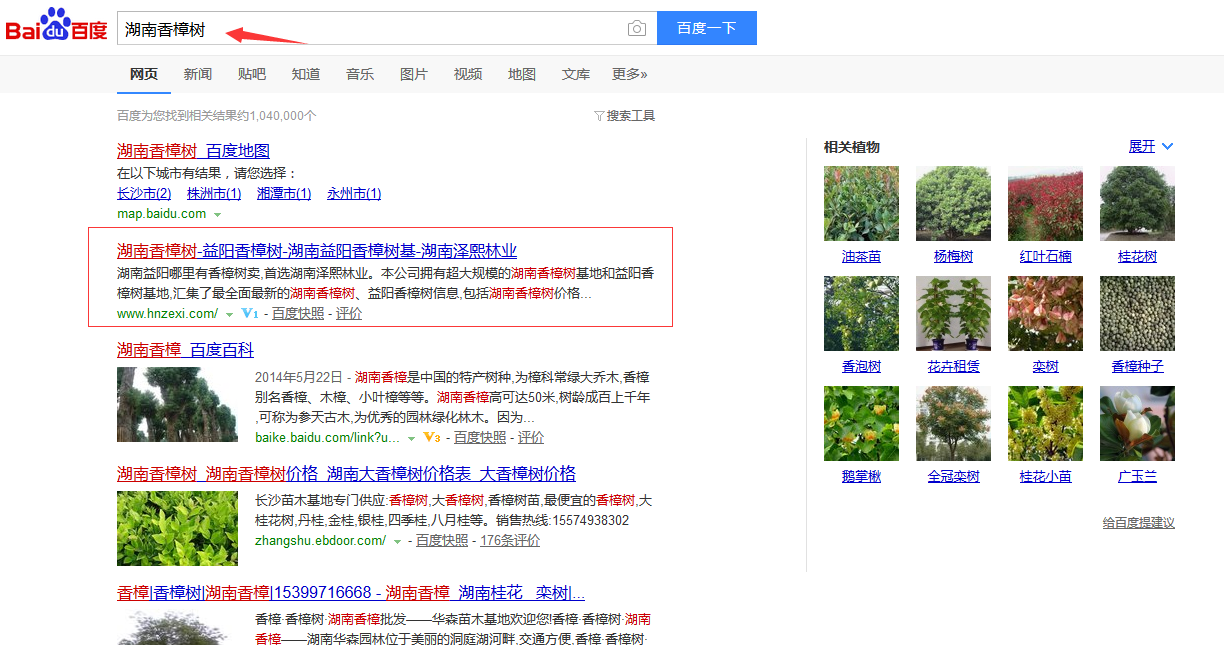 成都SEO优化案例：湖南泽熙林业发展有限公司网站SEO排名